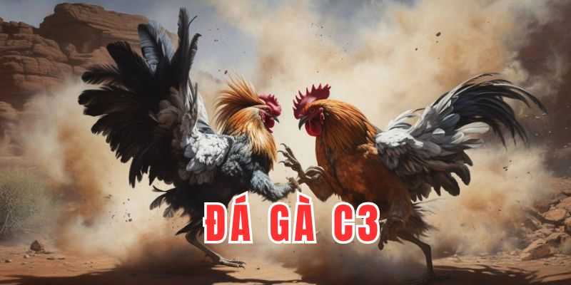 đá gà c3