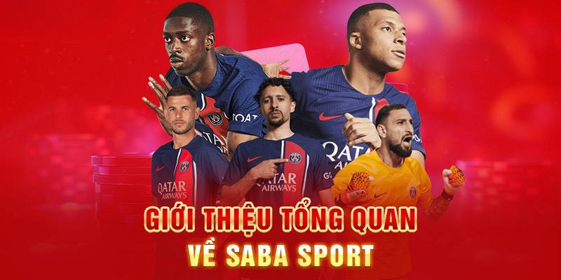 Khái quát chung về sảnh Saba đến cho thành viên đam mê